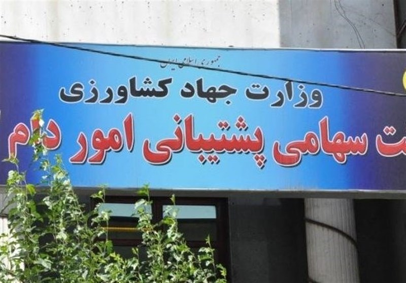 ابراز نارضایتی تامین کنندگان گوشت مرغ منجمد وارداتی از عملکرد شرکت پشتیبانی امور دام در سال 1401